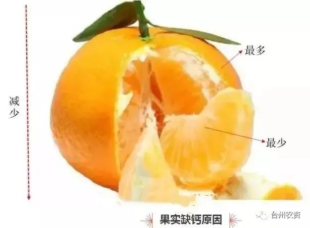 臺(tái)州農(nóng)資 臺(tái)州農(nóng)資