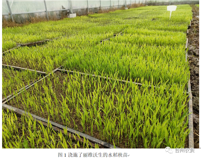 臺州農資 臺州農資