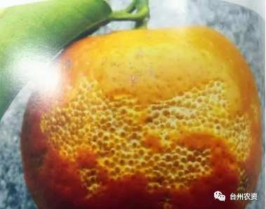 1675672516656062.png 640 (65).png